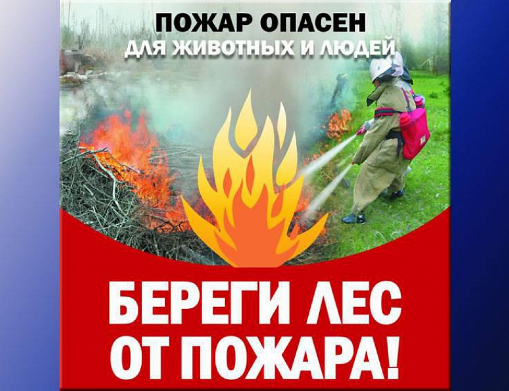 Правила пожарной безопасности в лесу. Соблюдение правил пожарной безопасности в лесах. Пожарная безопасность в лесу памятка. Требования пожарной безопасности в лесах.